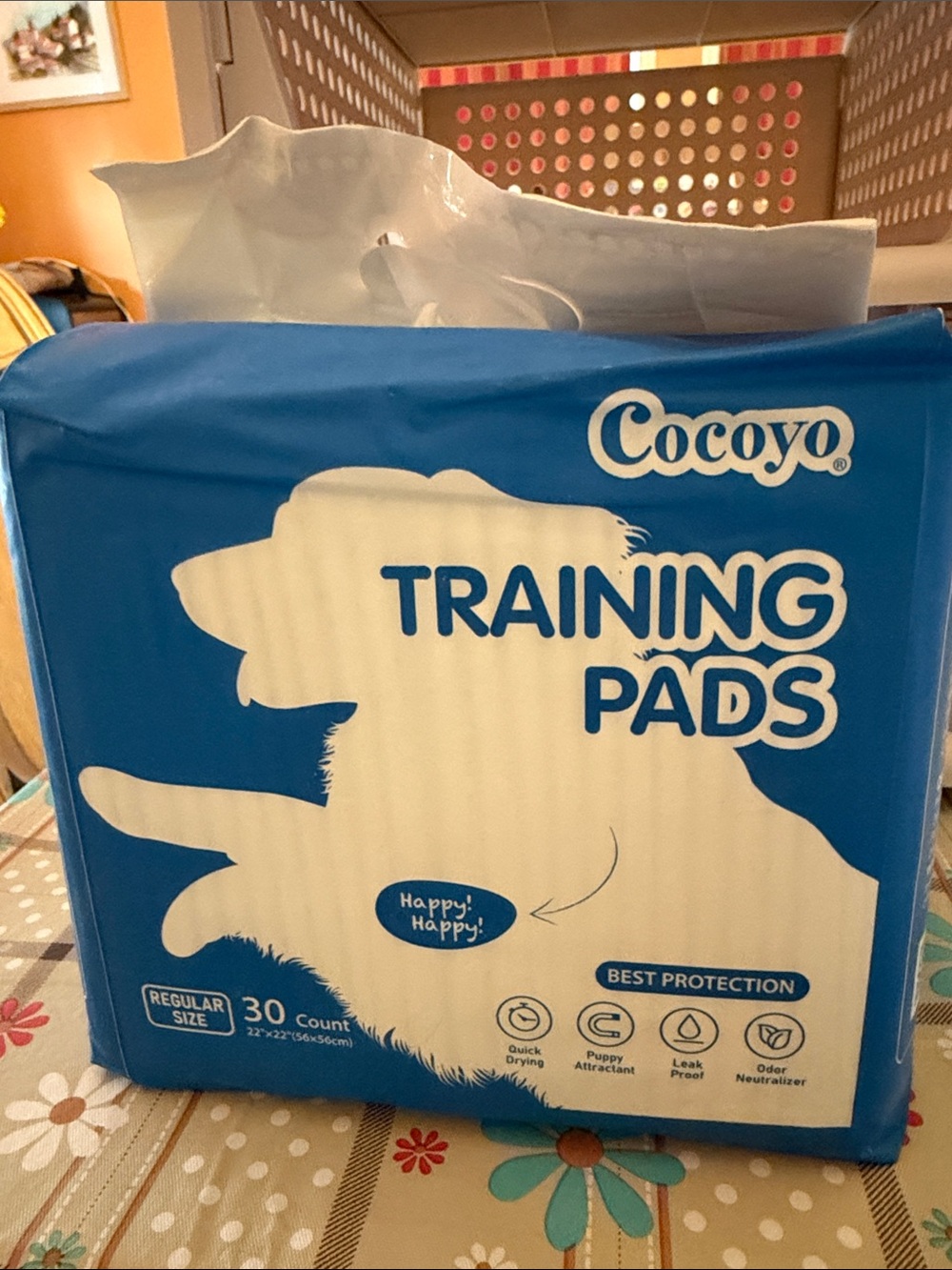 Cocoyo body Training Pads -pack of 30